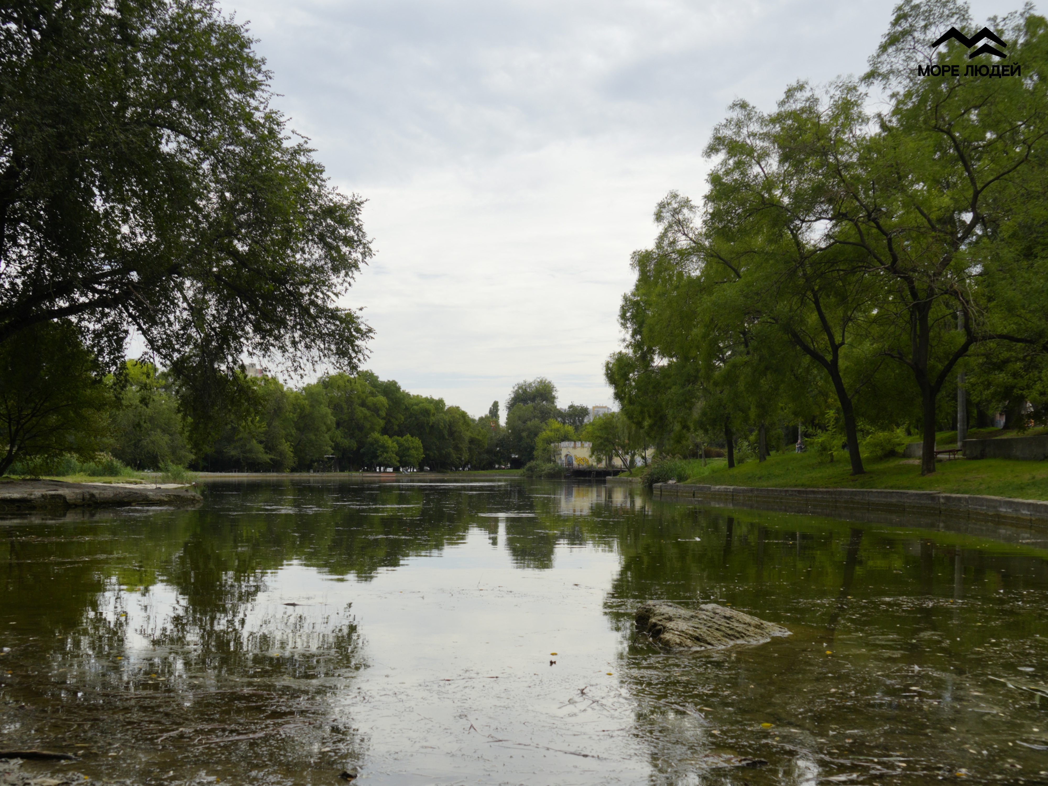 Як вмирає Дюківський сад: історія одного занепаду