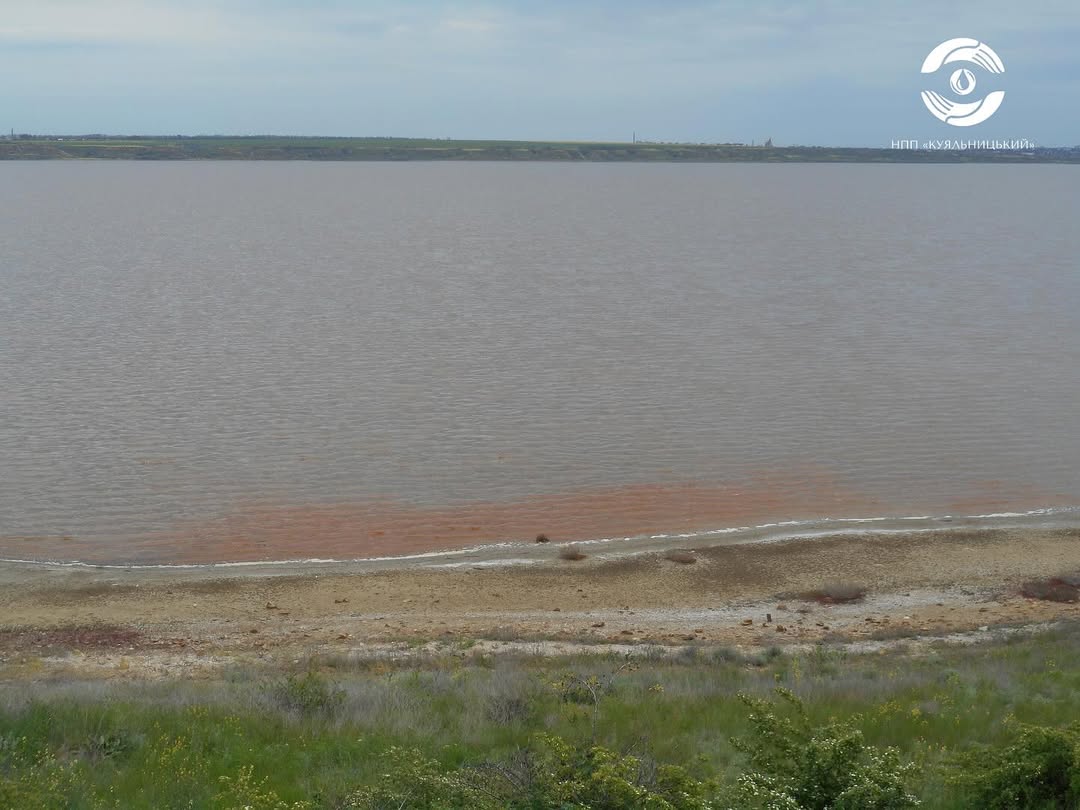 Джерело здоров’я, що стрімко пересихає. Чому Куяльник помирає і як його врятувати (це реально)