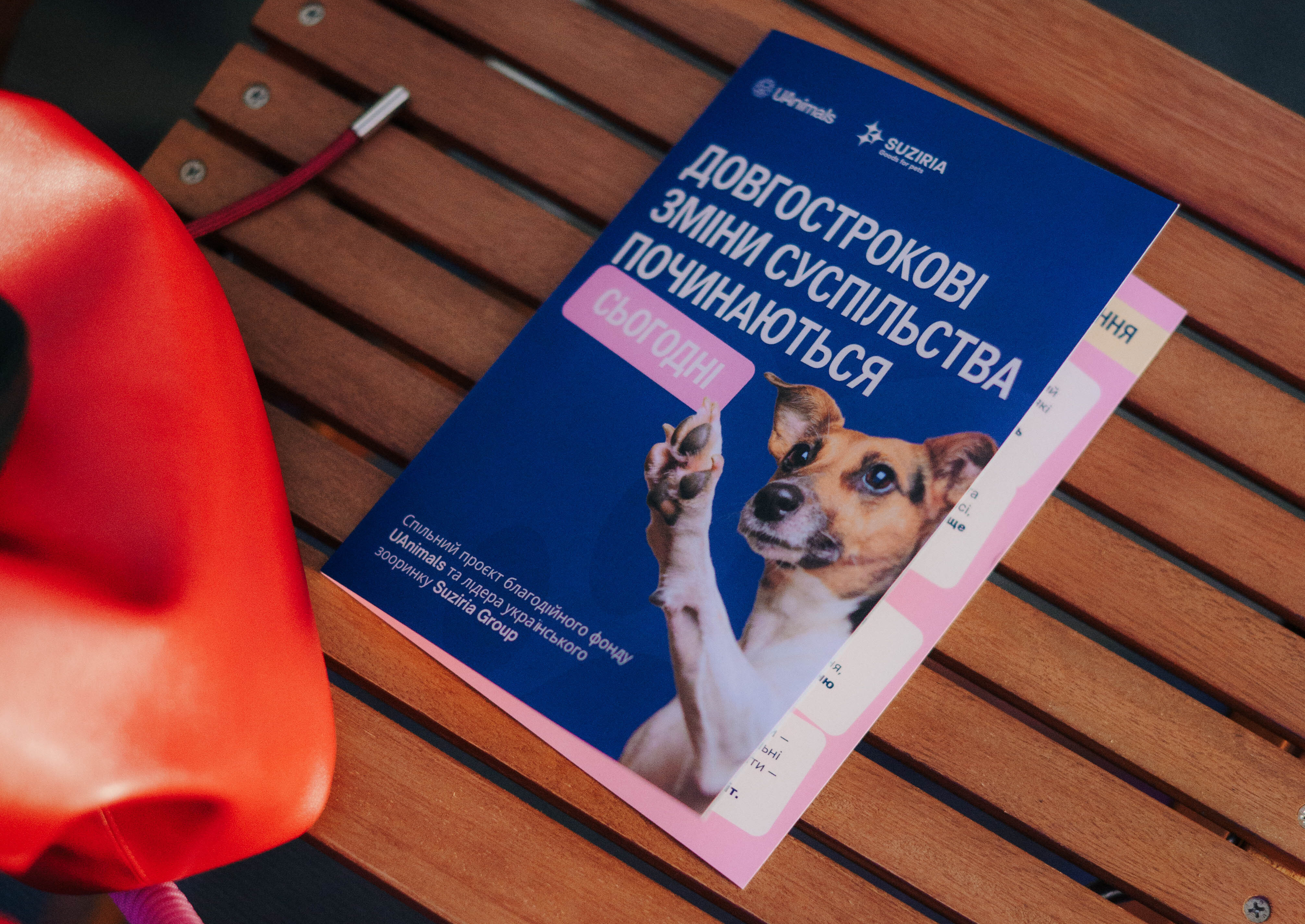 Чи можна навчити любові до тварин? В Україні запустили проєкт, що інтегрує гуманність у шкільну освіту