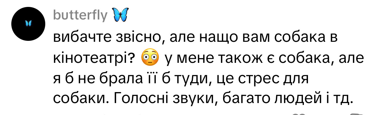 Кіно з хвостиком: як тренд на pet-friendly покази набирає обертів в Україні та що з цим в Одесі