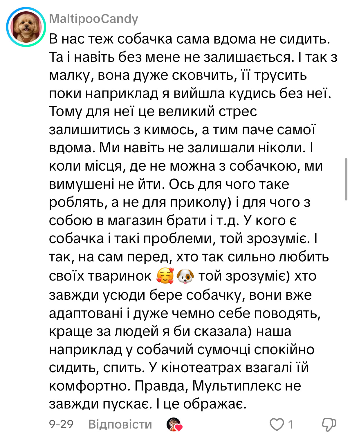 Кіно з хвостиком: як тренд на pet-friendly покази набирає обертів в Україні та що з цим в Одесі