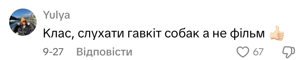 Кіно з хвостиком: як тренд на pet-friendly покази набирає обертів в Україні та що з цим в Одесі