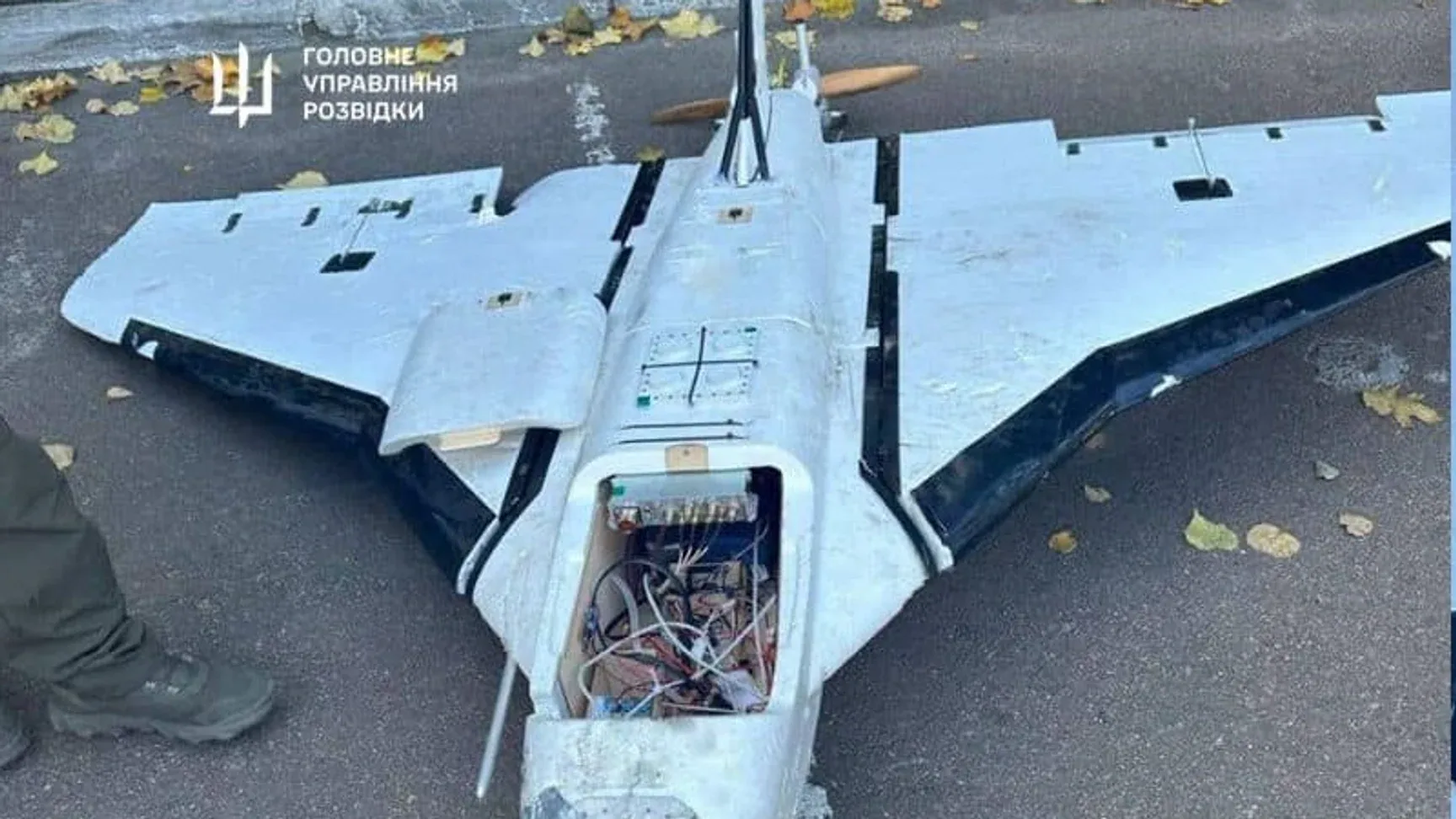 «Гербера»: що відомо про російські дрони, які атакують Одещину