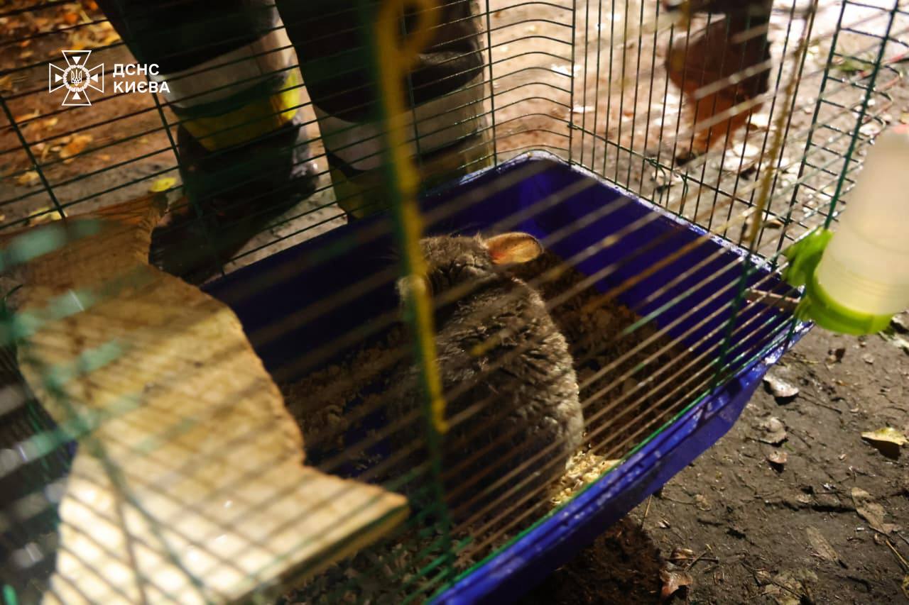 рф атакувала Україну ракетами та шахедами: наслідки в Одеській області