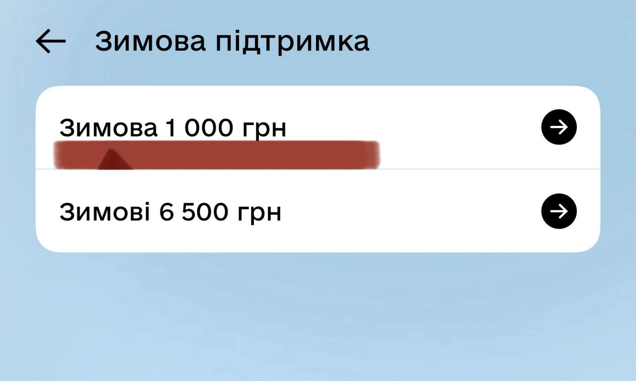 «Зимова тисяча»: на що можна витратити гроші