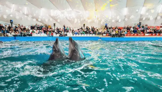 В Одесі суд арештував будівлю дельфінарію «Немо»: яка причина