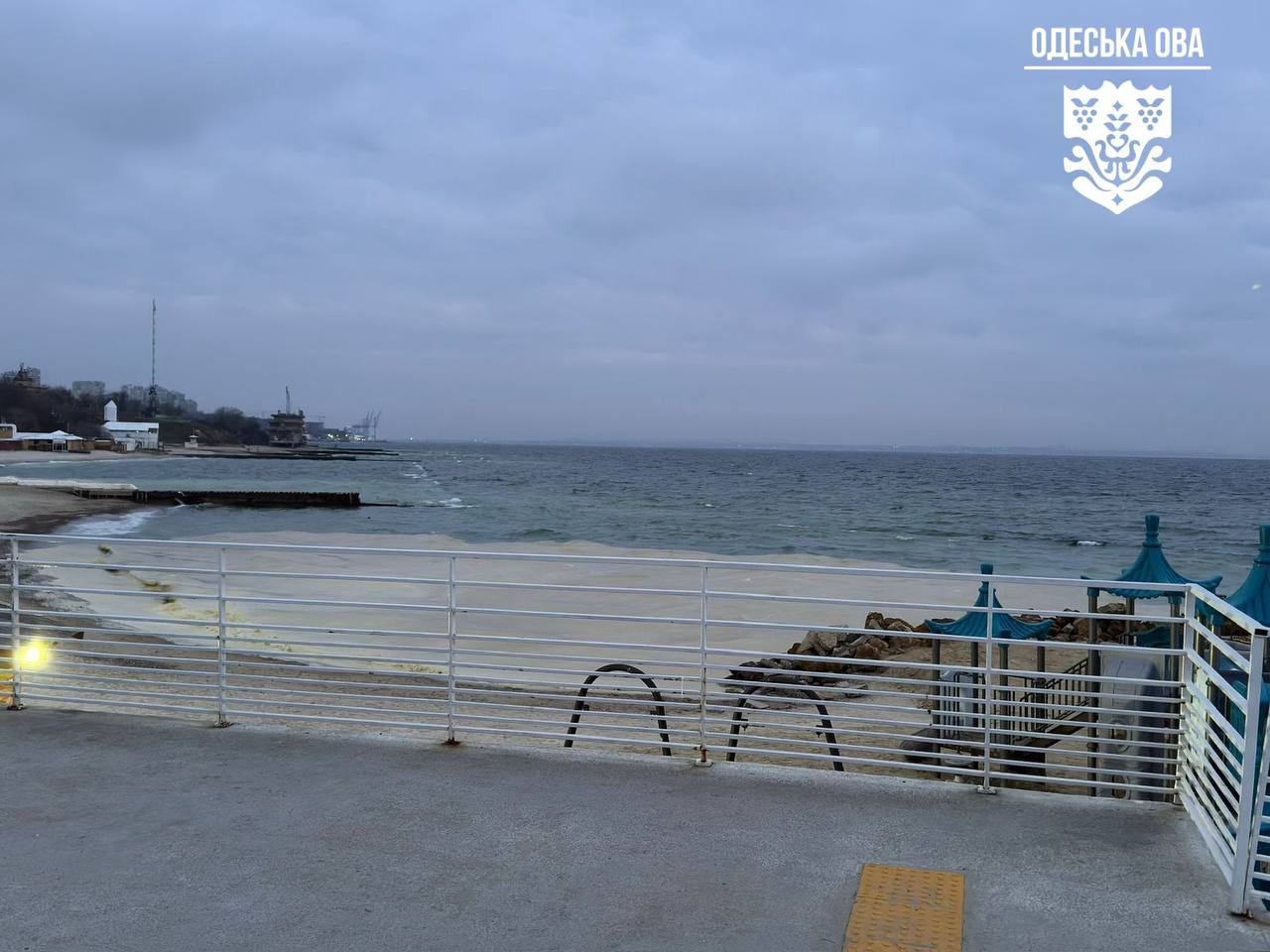 Олійні плями й десятки мертвих птахів на пляжах Одеси: все, що відомо на 24 грудня