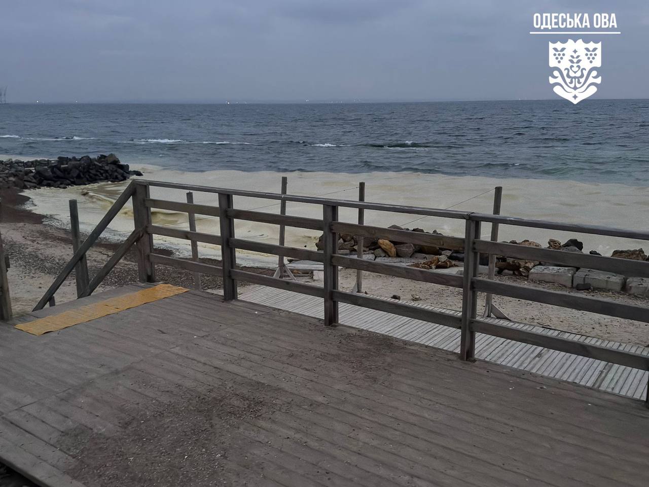 Олійні плями й десятки мертвих птахів на пляжах Одеси: все, що відомо на 24 грудня