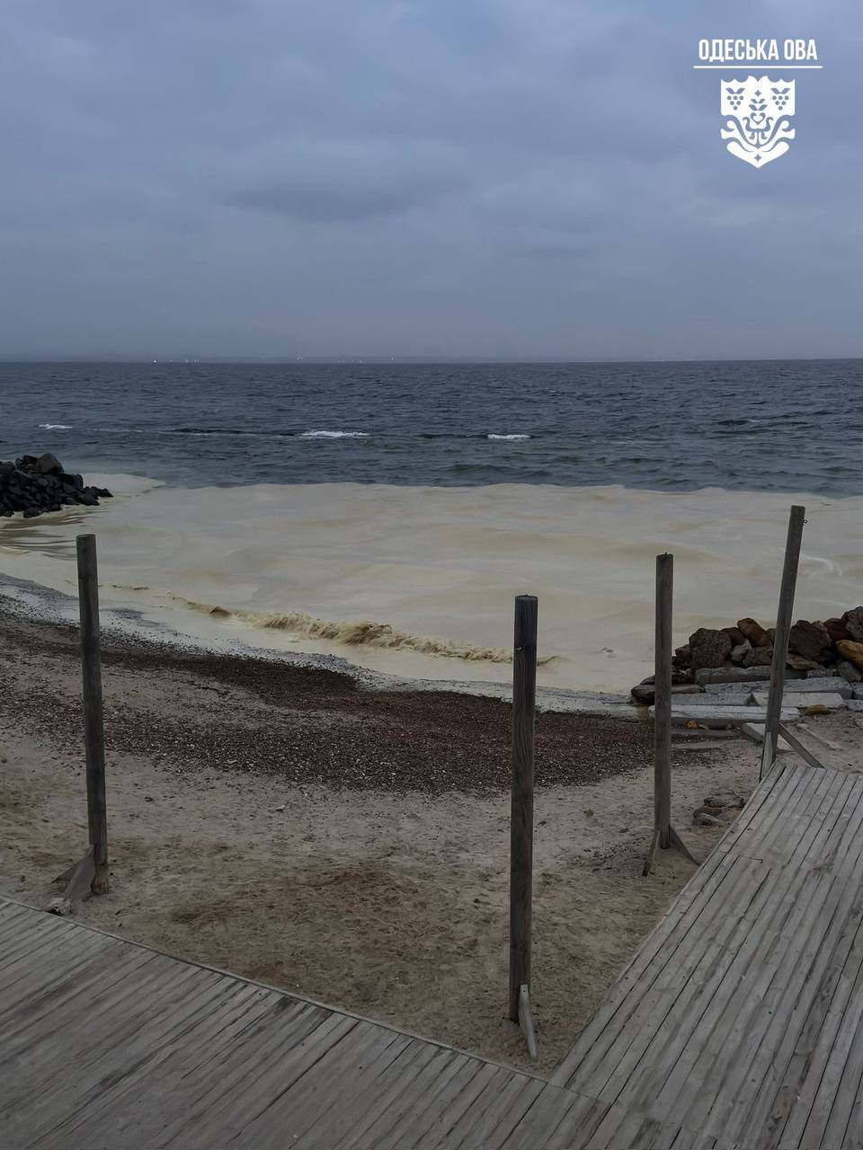 Олійні плями й десятки мертвих птахів на пляжах Одеси: все, що відомо на 24 грудня