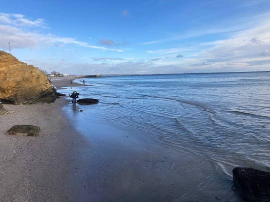 Забруднення Чорного моря олією: яка ситуація на 29 грудня