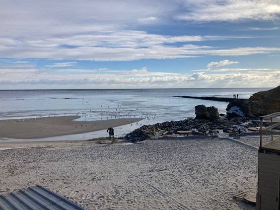 Забруднення Чорного моря олією: яка ситуація на 29 грудня