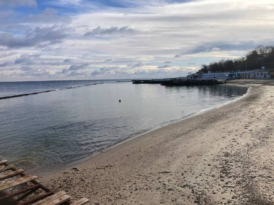 Забруднення Чорного моря олією: яка ситуація на 29 грудня