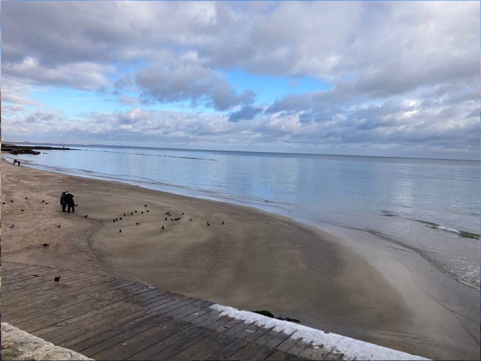 Забруднення Чорного моря олією: яка ситуація на 29 грудня