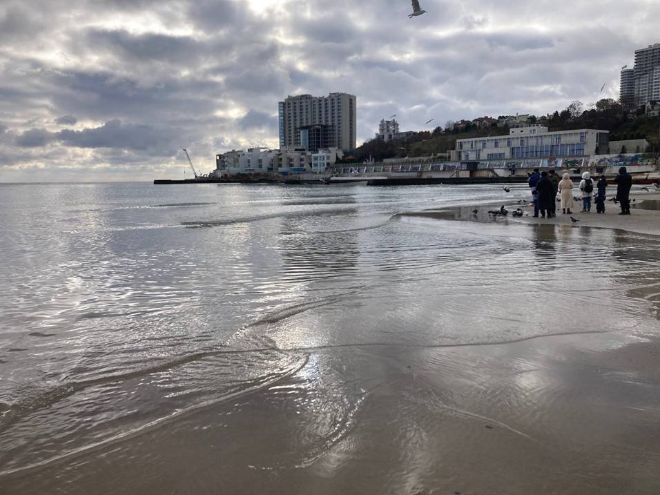 Забруднення Чорного моря олією: яка ситуація на 29 грудня