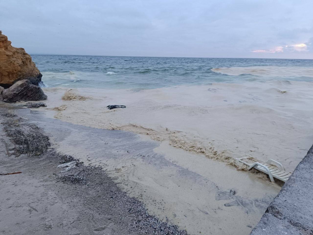 Олійні плями й десятки мертвих птахів на пляжах Одеси: все, що відомо на 24 грудня