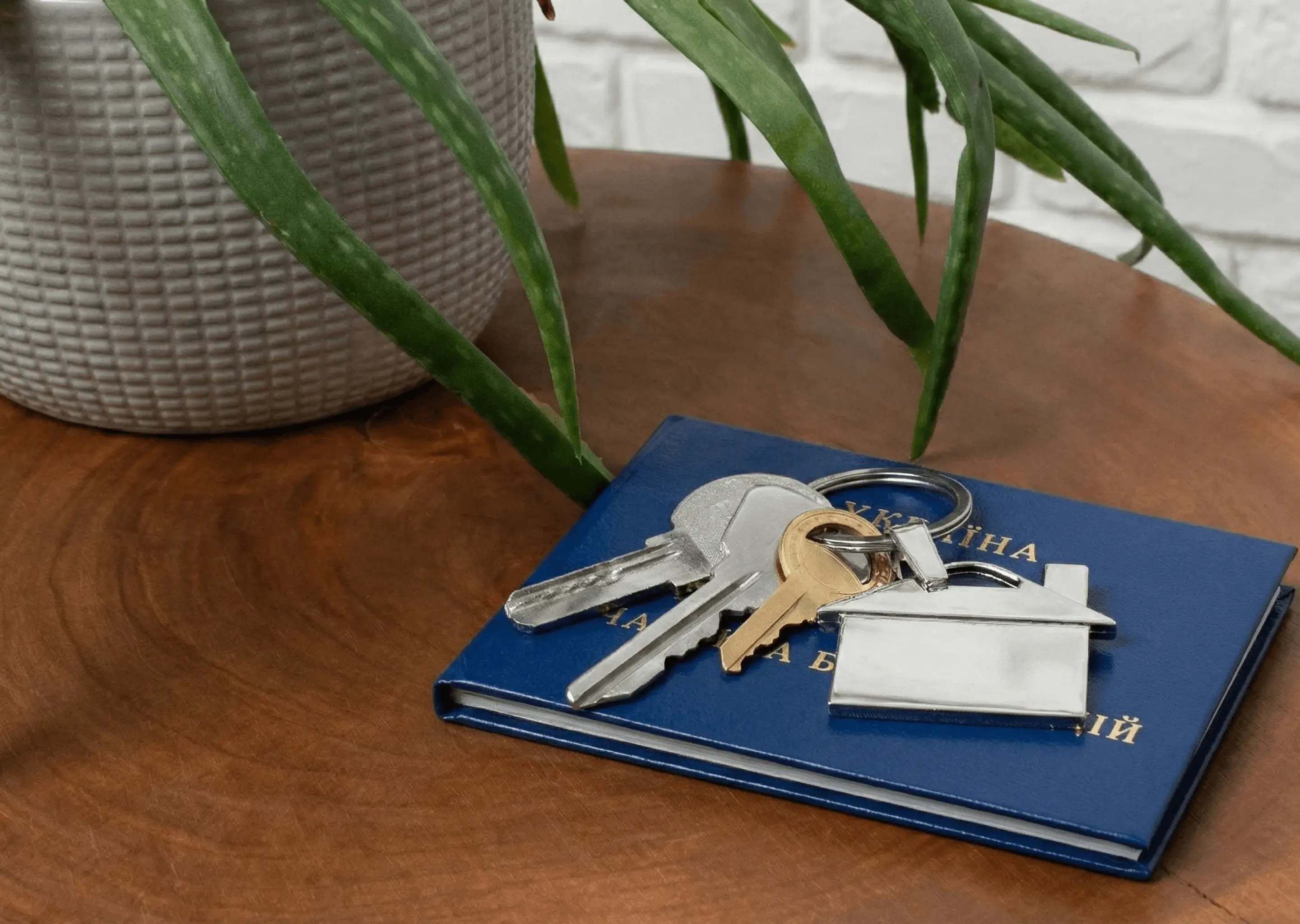 В Україні ветерани з ТОТ можуть отримати 2 млн на квартиру чи будинок: що за програма