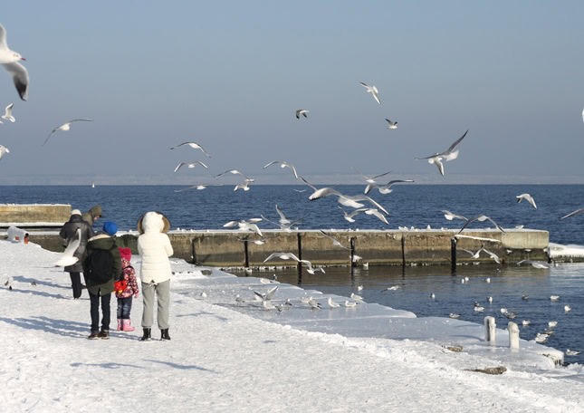 Ожеледиця в Одесі: як слизькі вулиці подарували нові знайомства та теплі історії